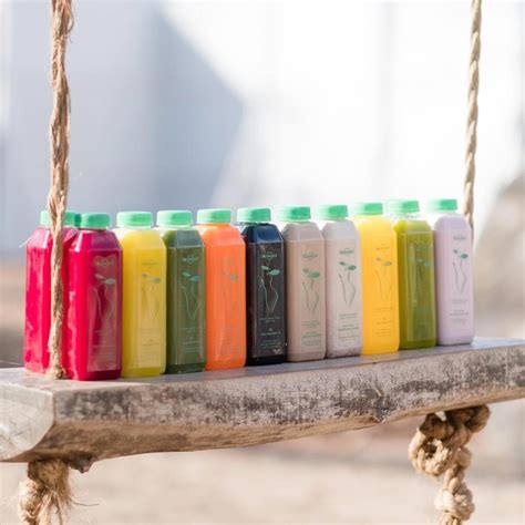 12 Top Juice Brands that Will Deliver to Your Home | Artful Living Magazine