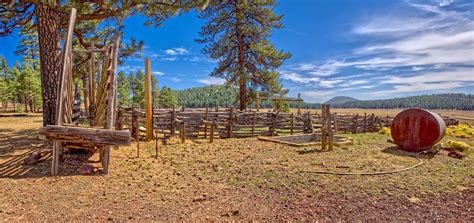 Kaibab National Forest