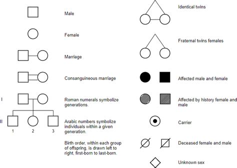 What is Pedigree Chart?