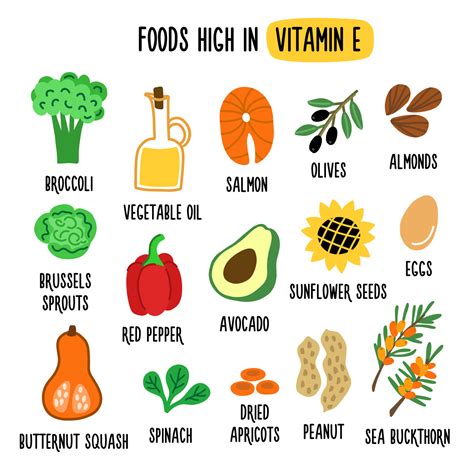 Foods high in vitamin E. Source of vitamin E. Flat vector cartoon ...