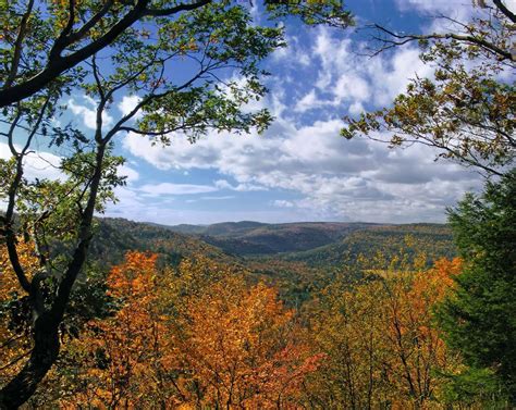 Fall foliage 2015: 12 of the best drives in Pennsylvania | PennLive.com