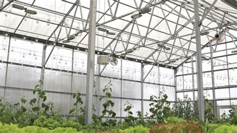 Your Most Common Greenhouse Materials Questions Answered - Greenhouse ...