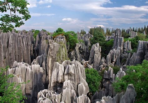 Stone Forest National Park, China ~ Travellocus