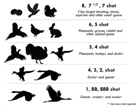 410 Shotgun Shot Size Chart - Best Picture Of Chart Anyimage.Org