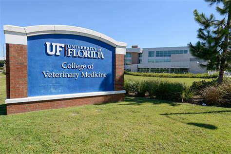 College of Veterinary Medicine » University of Florida