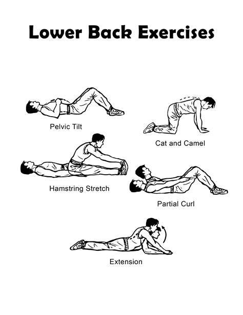 Lower back exercises