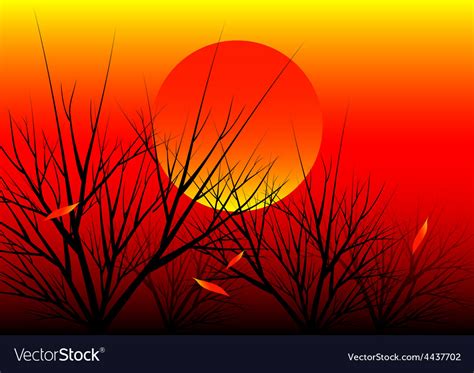 Sunset nature background Royalty Free Vector Image