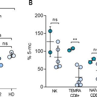 DNA methylation assay. A The relative quantification of methylation ...