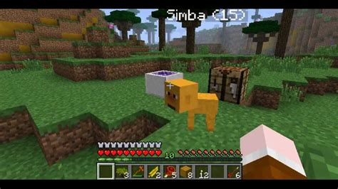 Minecraft: The Lion King Mod Episode 3: BABY SIMBA ?!?!?!?! - YouTube