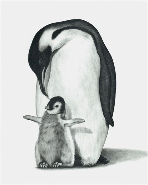 Penguin Drawing PRINT - Etsy