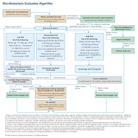 New 2020 AUA Hematuria Guidelines | Department of Urology