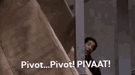 Ross Pivot Friends GIF - Ross Pivot Friends Pivot - Discover & Share GIFs