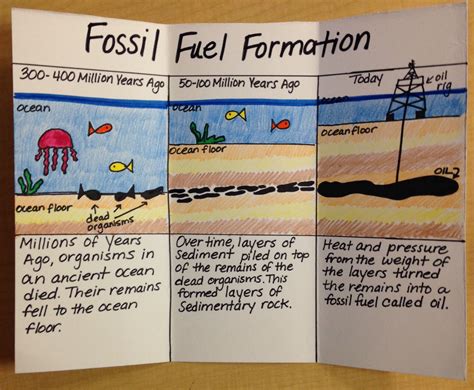 Formation Of Fossil Fuels Diagram