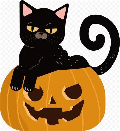 Black Cat Sitting On Smiling Pumpkin Halloween Cartoon | Citypng