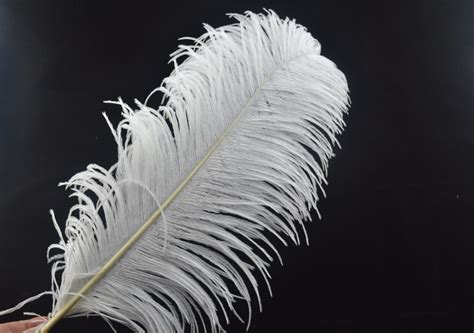 30pcs 18-20inch ostrich feathers - $132.00 : Weddingfeather!, Excellent ...