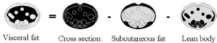 Visceral fat measurement principle | Download Scientific Diagram