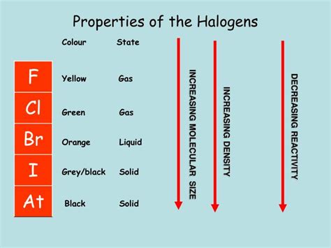 PPT - Group 7 – The Halogens PowerPoint Presentation - ID:1275374