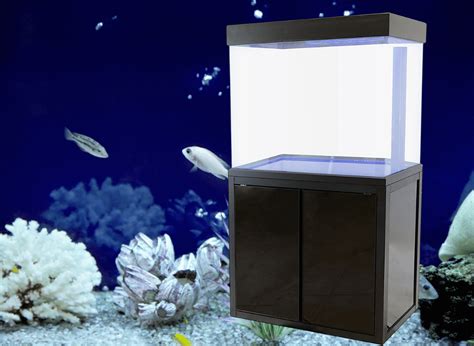 Unleash the Aquatic Wonders with a 50 Gallon Fish Tank