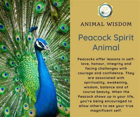 Peacock Spirit Animal | Spirituality, Spirit animal, Spirit animal totem