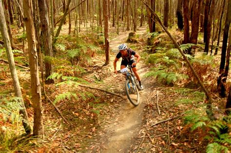 Wombat Track Mountain Bike Trail in Woodend, Victoria || SINGLETRACKS.COM