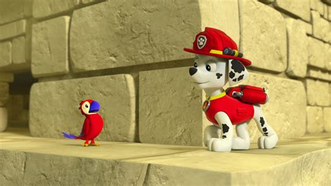 Watch PAW Patrol Season 2 Episode 11: Pups Save the Parrot - Full show ...