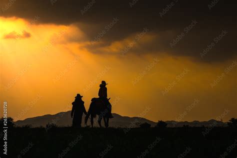 Cowboy silhouette on a horse during nice sunset Stock Photo | Adobe Stock