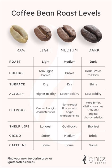 Difference between light, medium, and dark roast coffee beans – Ignite ...