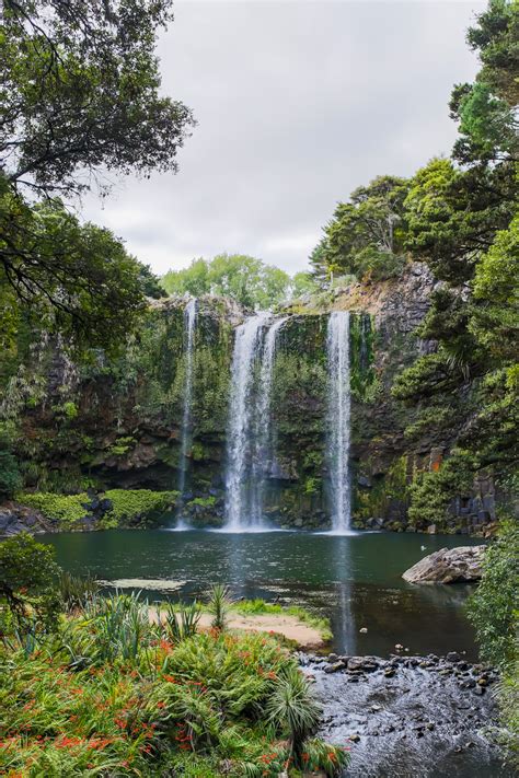 Whangarei Falls - Let's Be Explorers