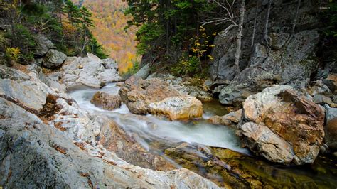 Autumn forest seen from the waterfall top wallpaper - Nature wallpapers ...