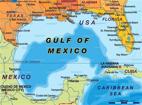 THE GULF OF MEXICO