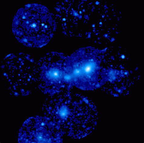 A guided tour in the Shapley Concentration Supercluster:Xray