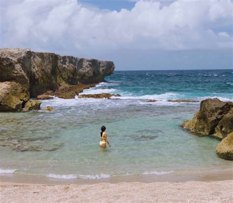 The Island of Bonaire - It's In Our Nature