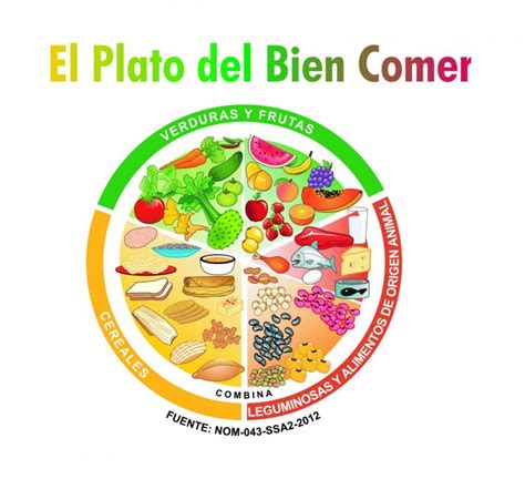 Beneficios del plato del bien comer| Salud180