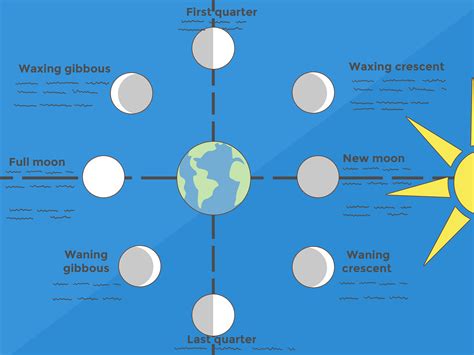 How to Make a Moon Phases Chart: 13 Steps (with Pictures)