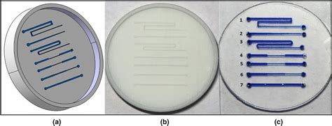 Microchannel design and fabrication showing (a) CAD model, (b) 3D ...