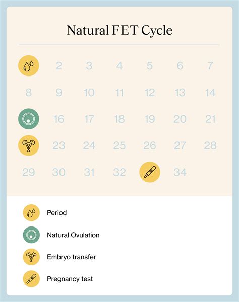 Frozen Embryo Transfer Calendar - Good calendar idea