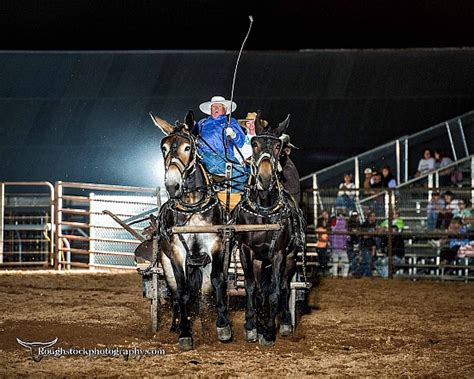 Rodeo/Event - 2018 - Sanpete County Fair RMPRA Rodeo ...