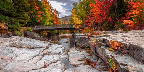 Best of the White Mountains: Fall Foliage | Humanitix