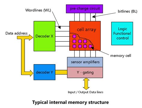 [DIAGRAM] Human Memory Diagram - MYDIAGRAM.ONLINE