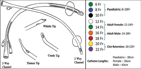 Catheter Bag, Foley Catheter, Nursing Study, Nursing School, Urinary ...