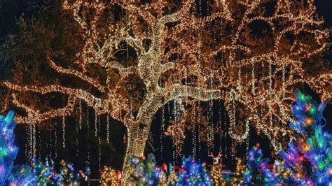 Christmas Lights Los Angeles 2024 - Wow Christmas Gifts 2024