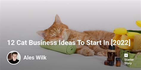 12 Cat Business Ideas To Start In [2024] - Starter Story