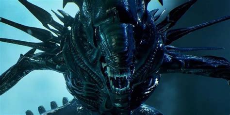 Ridley Scott Gives Unlikely Reaction To New Alien Movie By Fede Álvarez