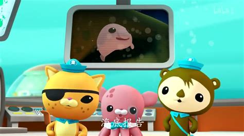 Octonauts blobfish creature report - lityenterprises