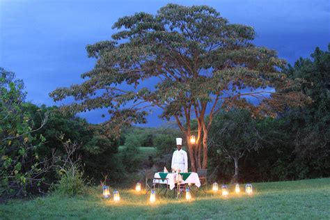 mara-simba-lodge-camp_bushdinner2 - Safaris in Kenya , Africa