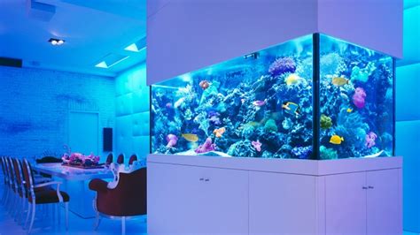 Quick Guide to Aquarium Lighting - Lighting Equipment Sales