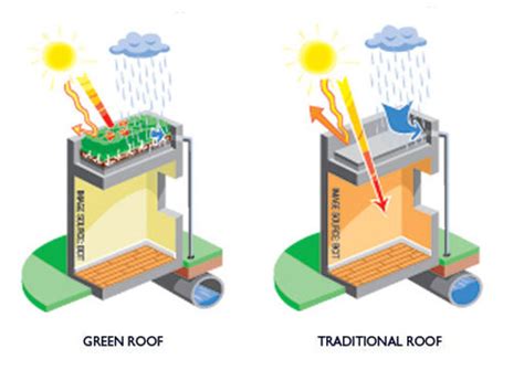 Why green roofs? Benefits?