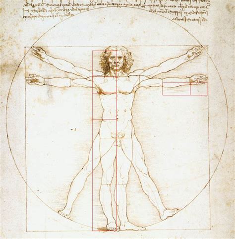 Da-Vinci-Vitruvian-Man-Golden-Ratio-Divine-Proportion - The Golden ...