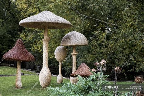 Tall wooden carved toadstools garden sculptures in Oxfordshire, England ...