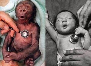 Friday Randomness: Baby Human and Baby Monkey Reaction (34 Images)